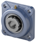 morepic-1